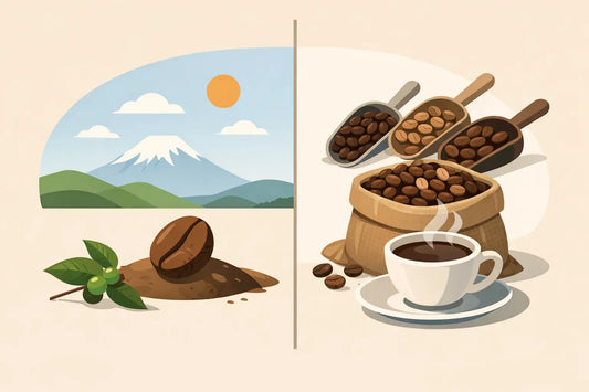 Single Origin Coffee vs Blends